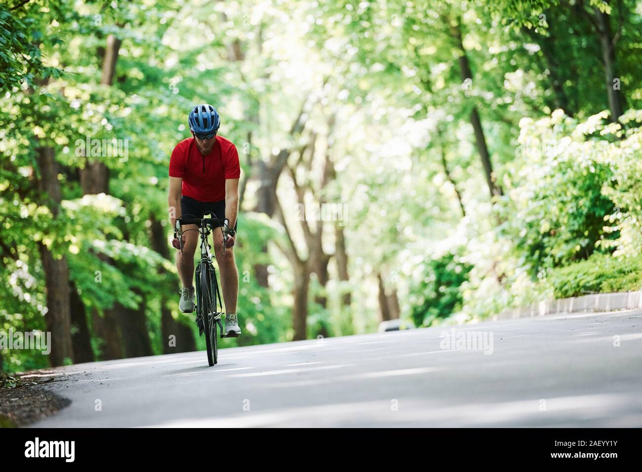 In leichter Kleidung. Radfahrer mit dem Rad auf der asphaltierten Straße im Wald an einem sonnigen Tag Stockfoto