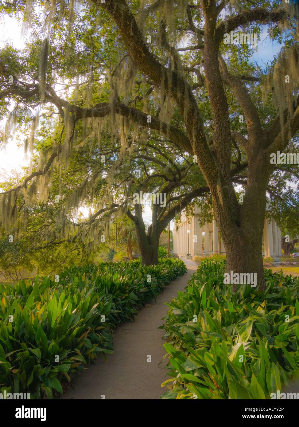 Ort Traum in der schönen Stadt Park von New Orleans. Stockfoto