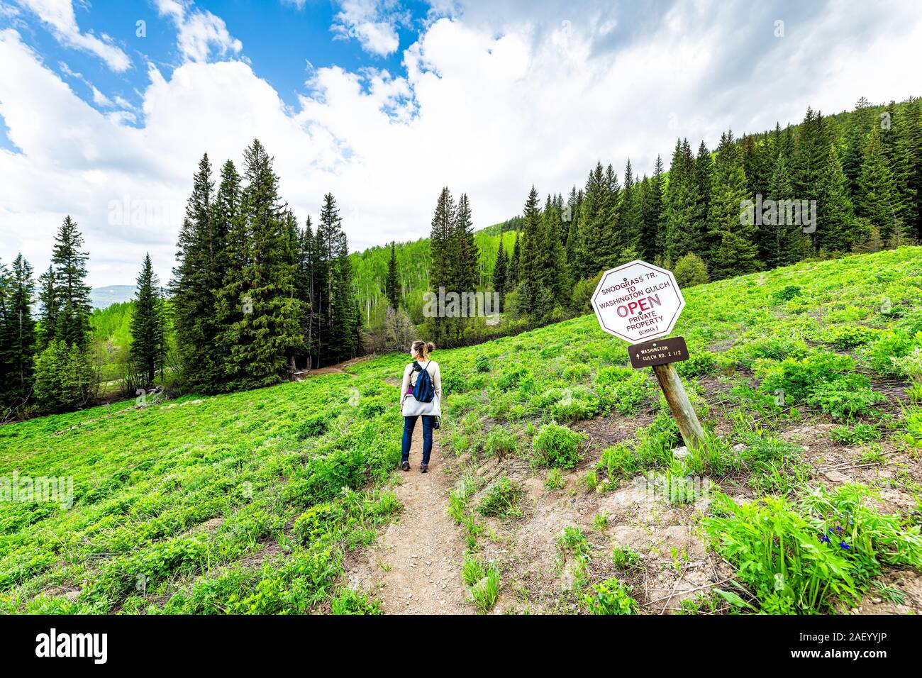 Mount Crested Butte, USA - Juni 21, 2019: Kiefer Wald Bäume mit Frau Wanderer durch die Anmeldung im Sommer für Snodgrass und Washington Gulch Wanderwege in Colorado Stockfoto