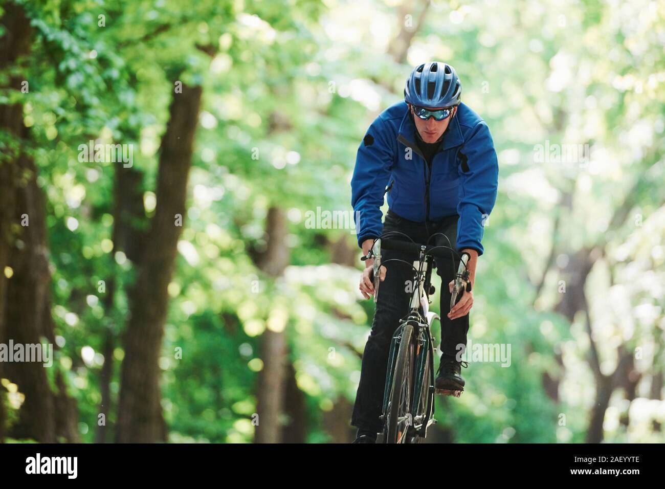 Adrenalin im Blut. Radfahrer mit dem Rad auf der asphaltierten Straße im Wald an einem sonnigen Tag Stockfoto