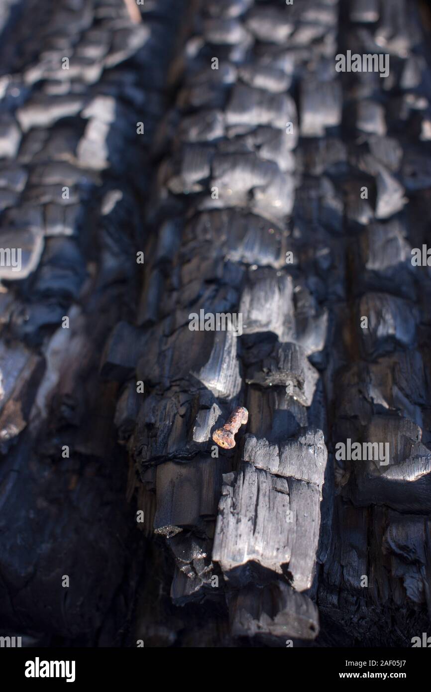 Natürliche Feuer Asche mit dunklen Grau Schwarz Kohlen Textur. Es ist eine brennbare Schwarz copyspace Hard Rock. Stockfoto