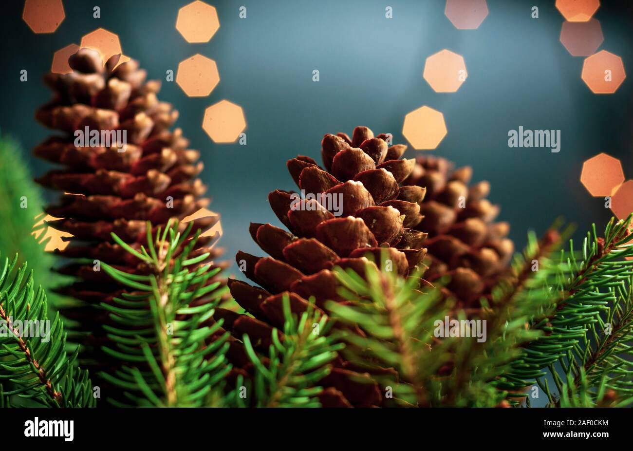 Kiefernzapfen und Tanne in festliche Weihnachten beleuchtete Umgebung Stockfoto