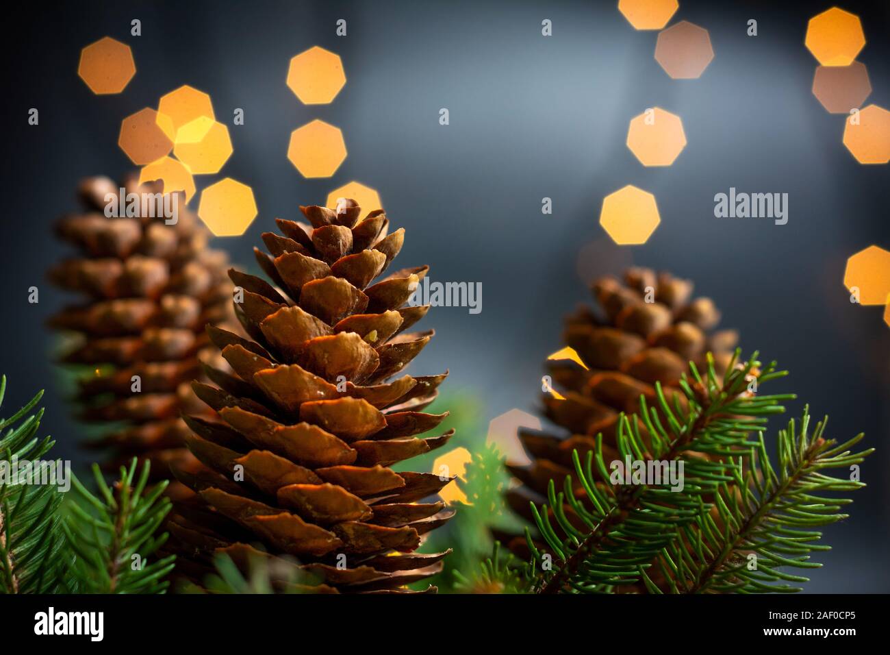Kiefernzapfen und Tanne in festliche Weihnachten beleuchtete Umgebung Stockfoto