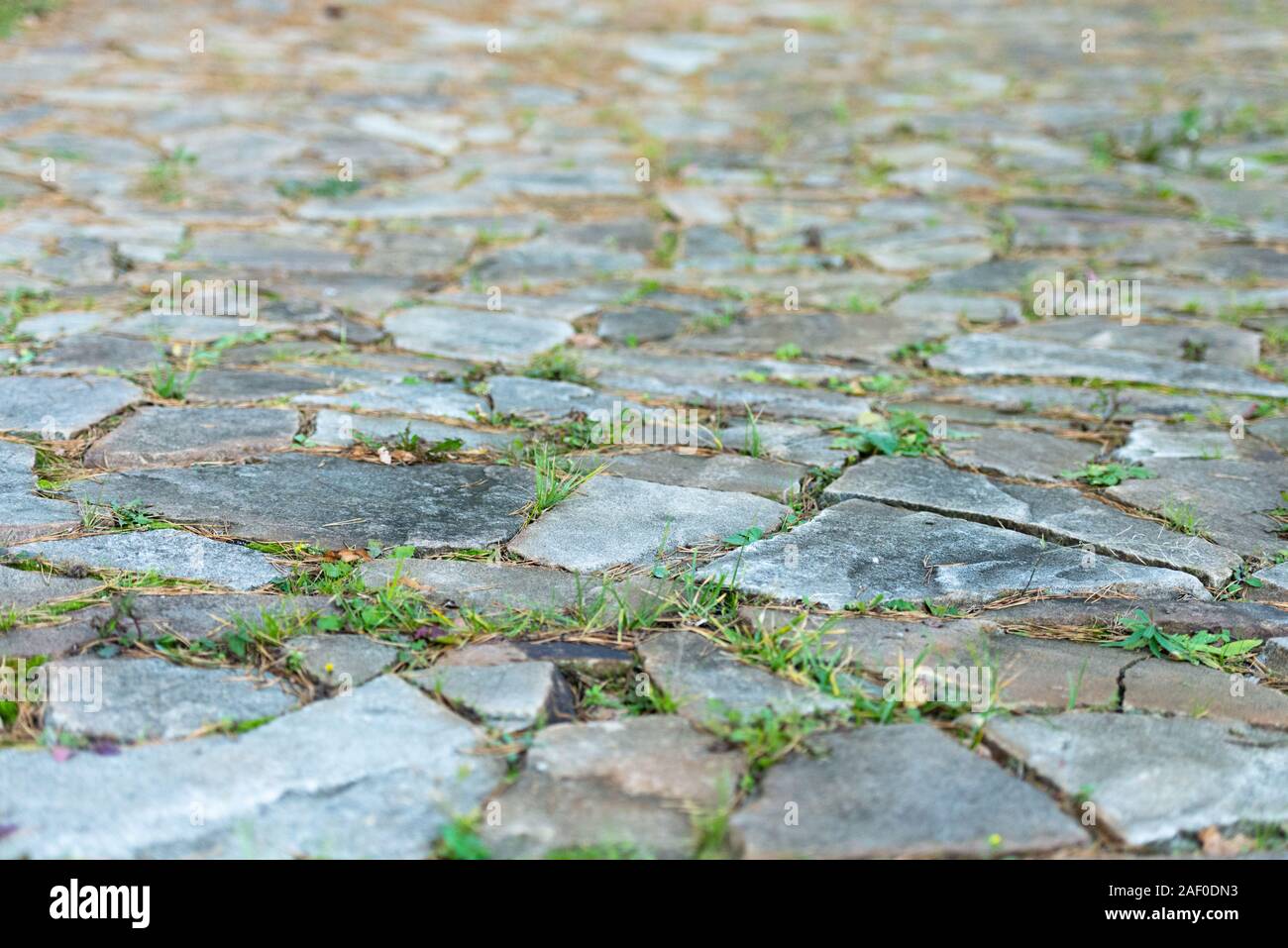 Weg der Steine. Der Weg in den Rasen. Gras bricht durch das Mauerwerk. Stockfoto