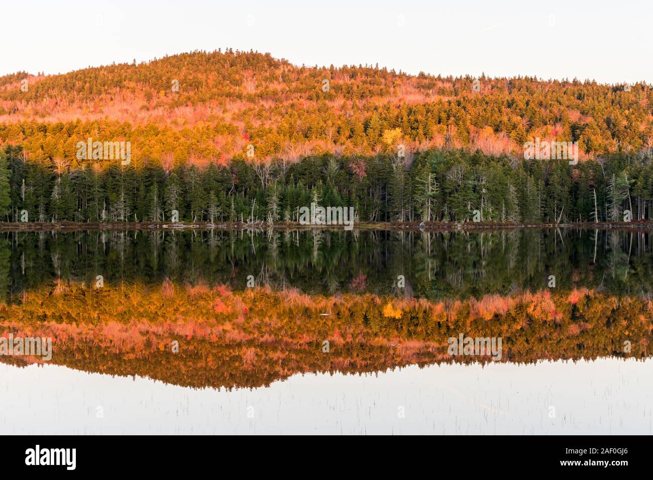 Ruhige Reflexion über Teich in Maine Stockfoto