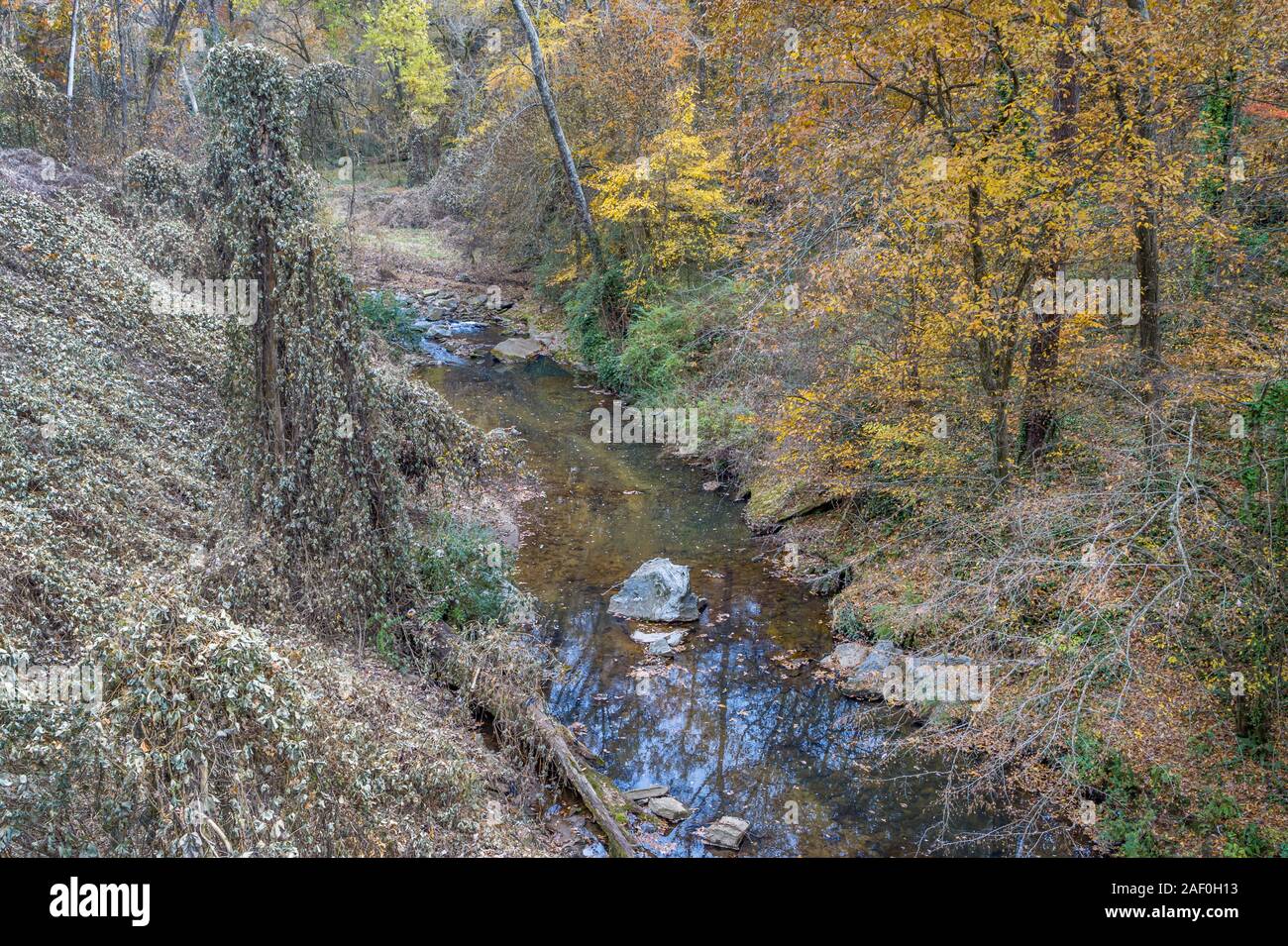 Urban Proctor Creek, Atlanta, Georgia Stockfoto