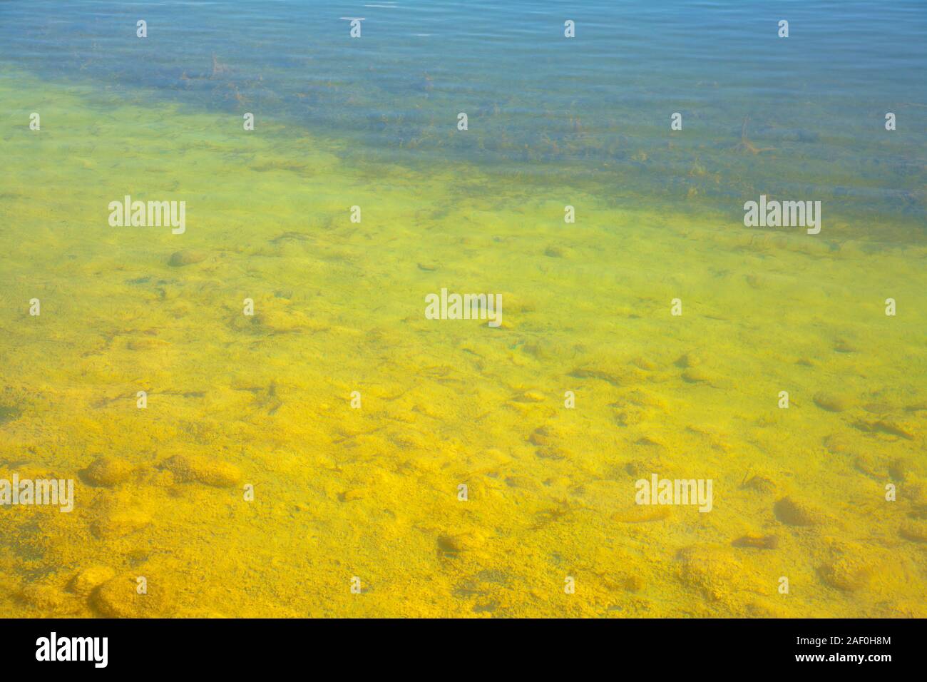 Farbenfrohe, lichtdurchflutete Arizona klares Wasser Teich Stockfoto