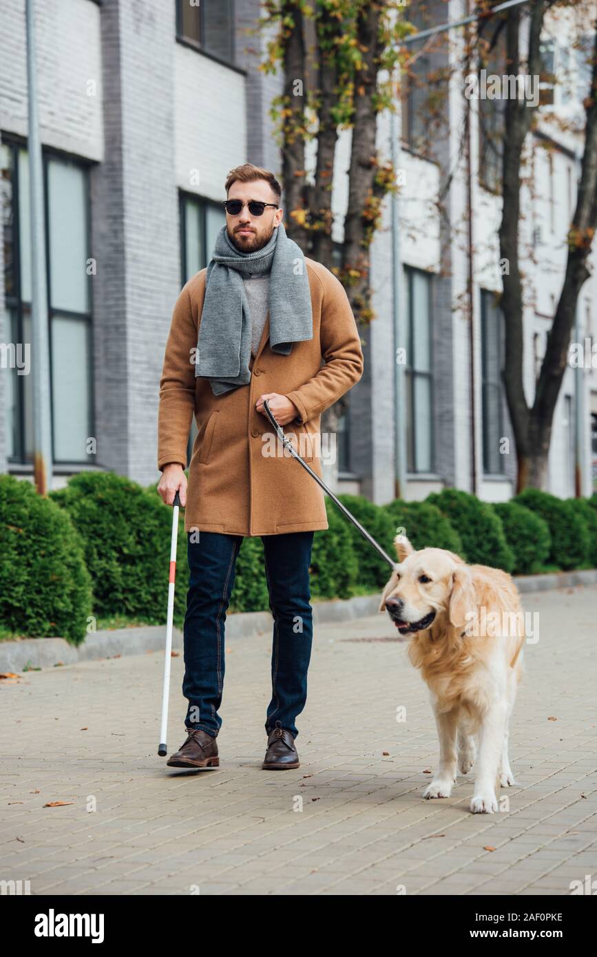 Blinden Wandern mit Hund auf Urban Street Stockfoto