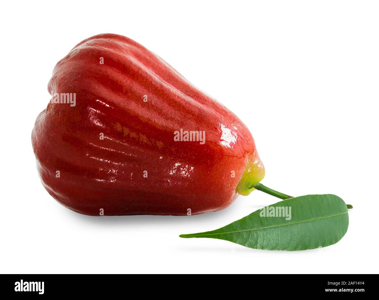 Rose Äpfel oder chomphu auf Weiß mit Freistellungspfad isoliert Stockfoto