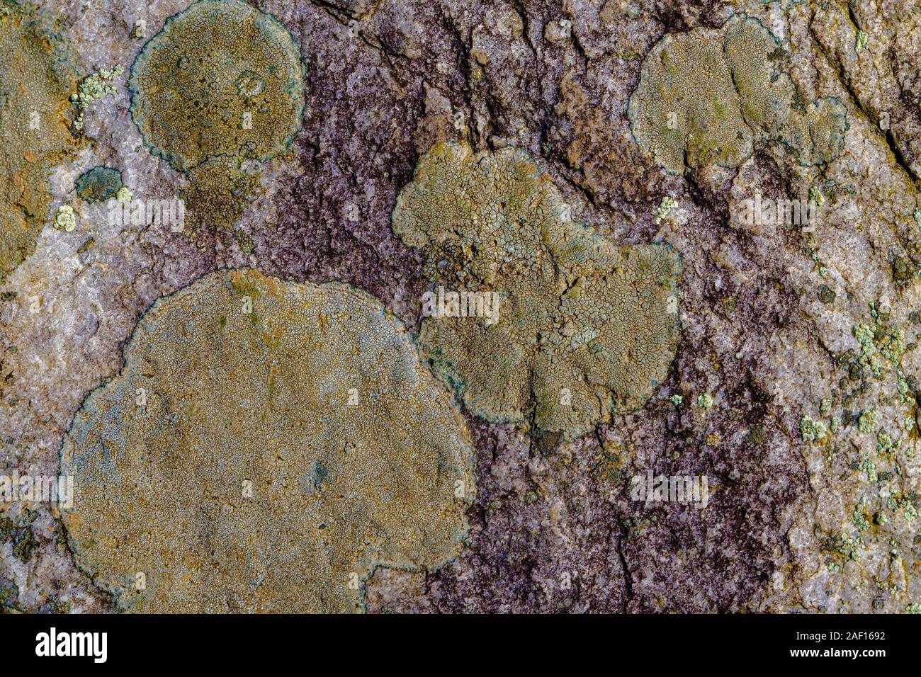 Eine Oberfläche mit Details der Kristalle und Erosion Stockfoto