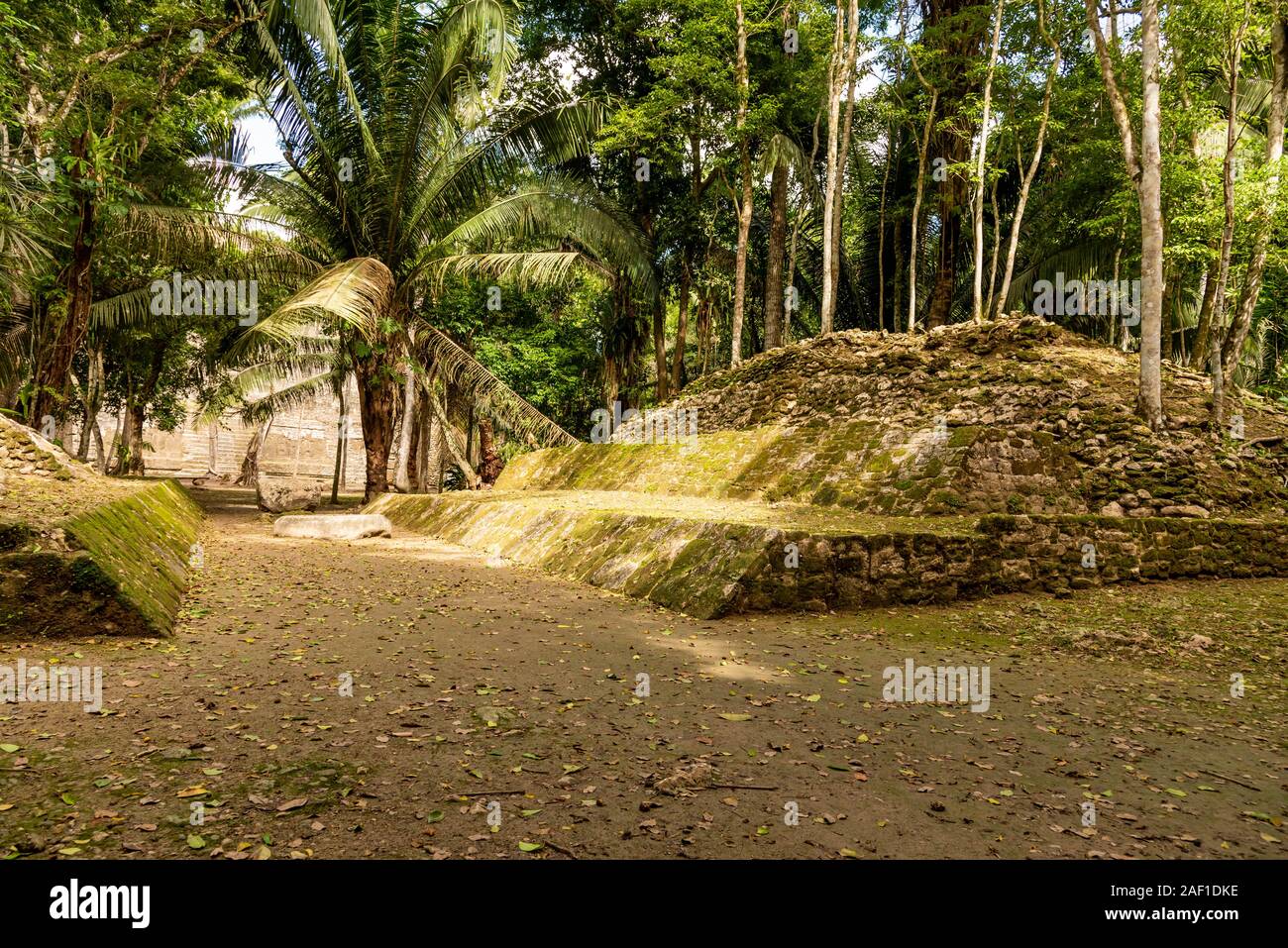 Orange Walk, Belize - November, 16, 2019. Ball Court in Lamanai archäologische Reserve, wo Maya Leute eine Maya Ball Spiel gespielt. Stockfoto