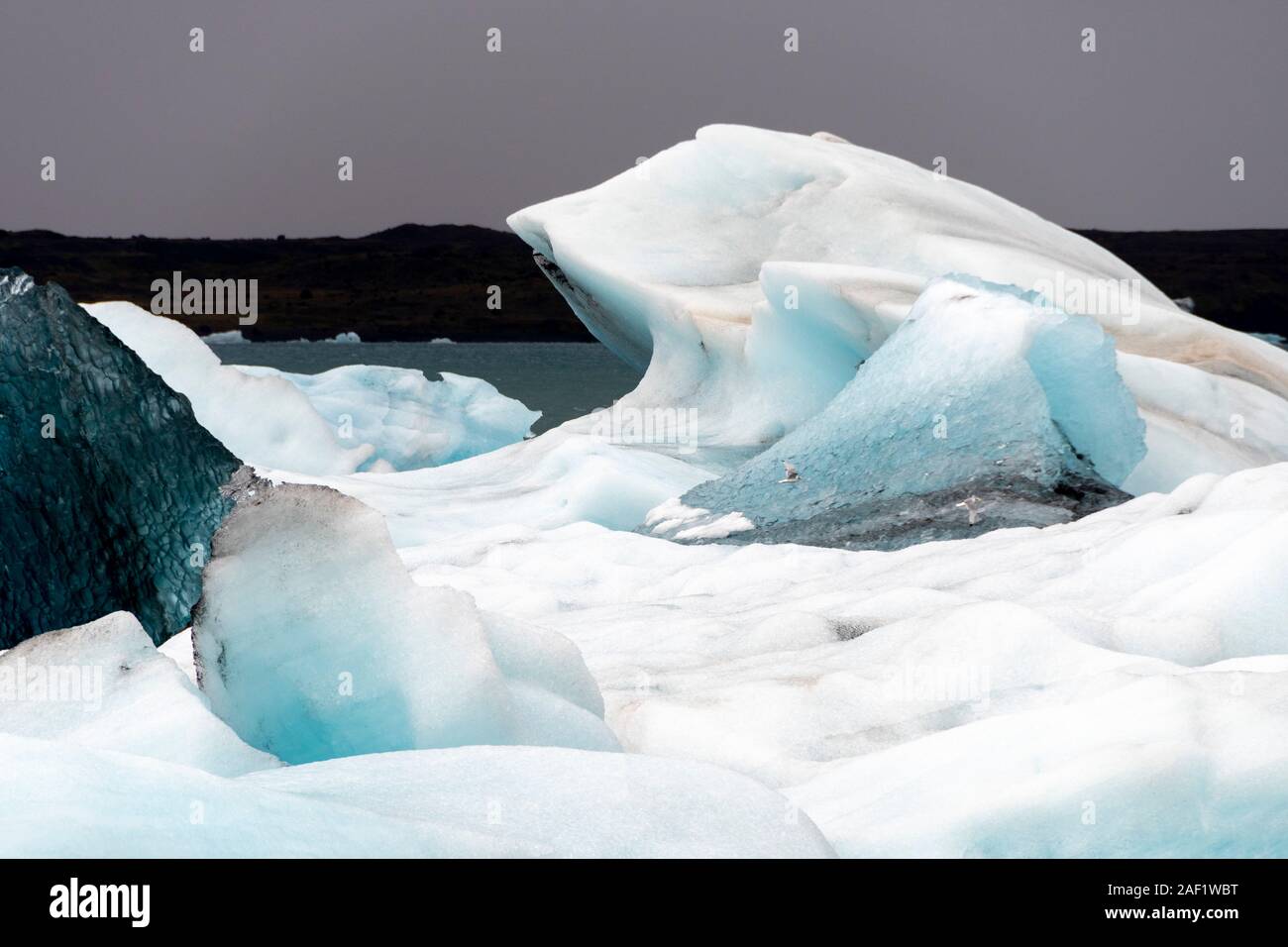 Eisberge in der Lagune Jökulsárlón, Island Stockfoto