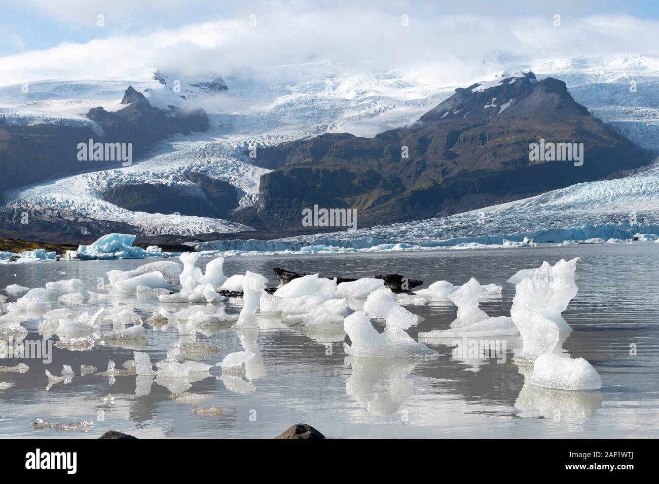 Kleine Eisberge in der Fjallsarlon Gletschersee, Island Stockfoto