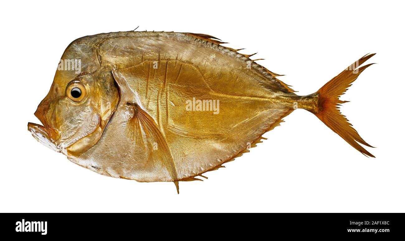 Geräucherter Fisch close-up auf einem weißen Hintergrund isoliert Stockfoto