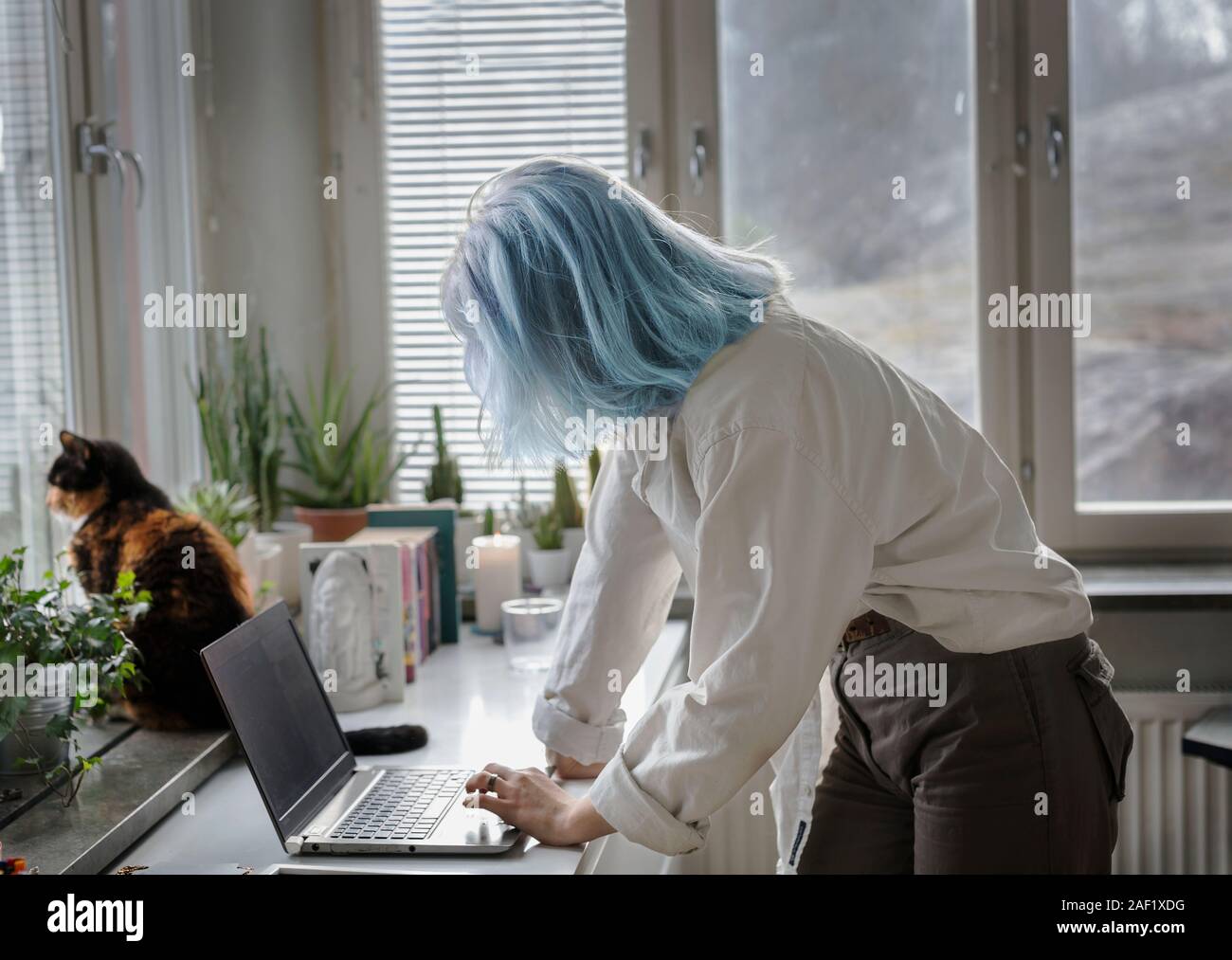 Frau mit Laptop zu Hause Stockfoto