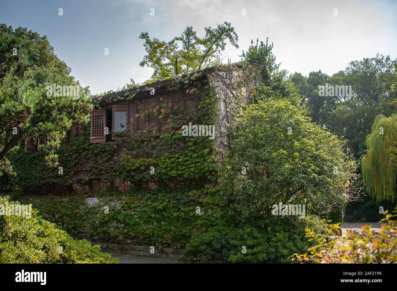 Grüne Kriechgang deckt ein Haus in Huishan antike Stadt, einem gut erhaltenen historischen Ort und beliebtes Reiseziel in Wuxi, China. Stockfoto