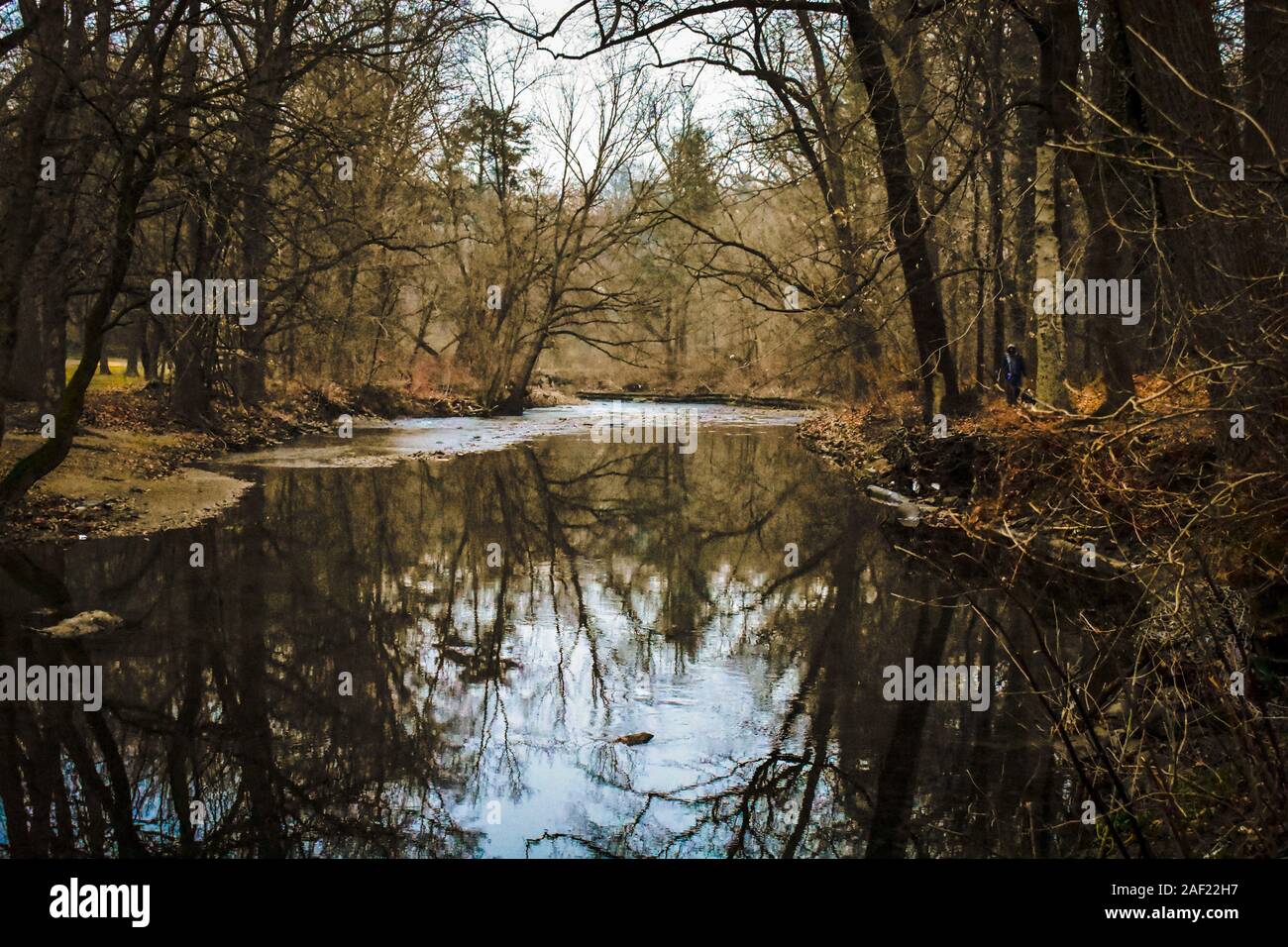 Eine reflektierende See im späten Herbst Stockfoto