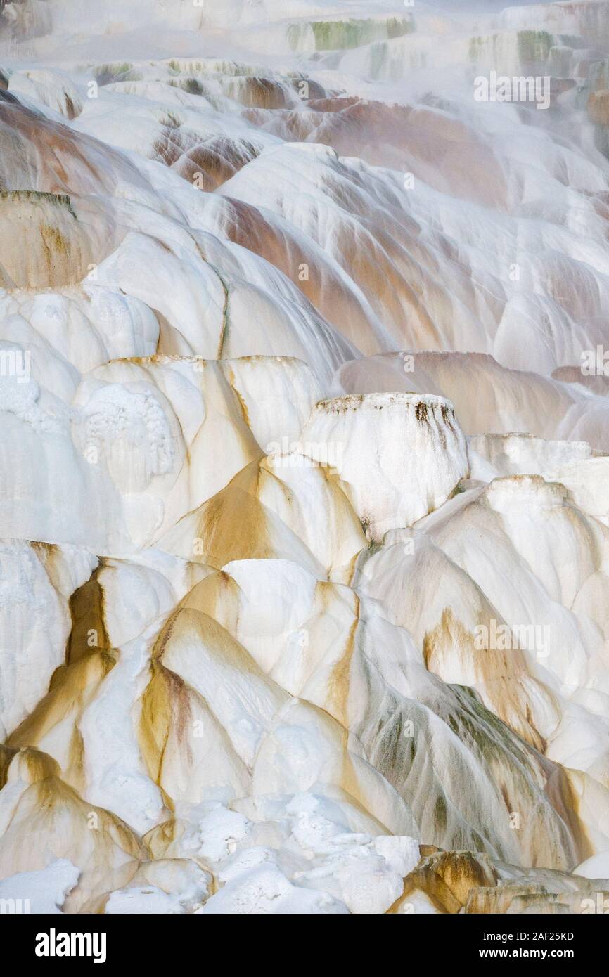 Mammoth Hot Springs im Winter, berühmten bunten Travertin Terrassen, UNESCO-Welterbe, Yellowstone Natinal Park, Wyoming, USA. Stockfoto