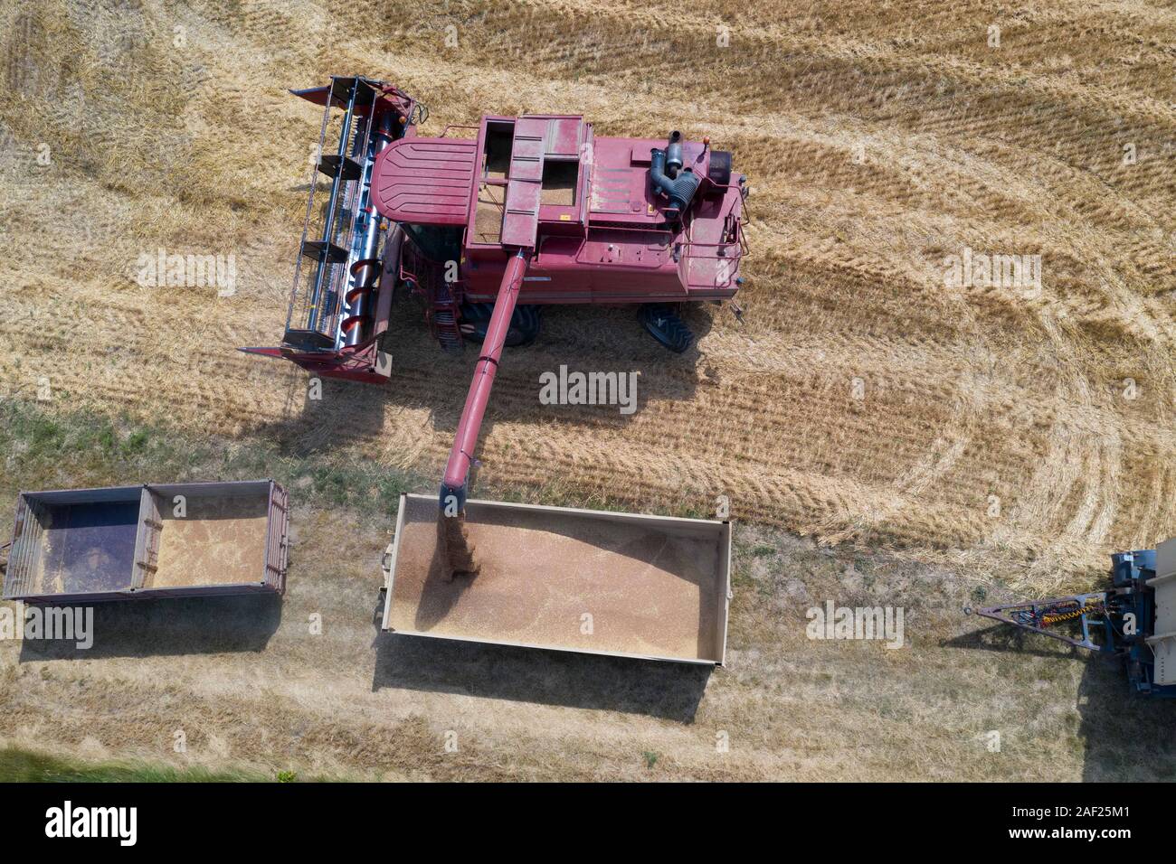 Weizen Ernte im Sommer: feldhäcksler Mähdrescher auf einem Feld in der Nähe von Valence in der Drome (Frankreich). Luftaufnahme von einem Mähdrescher Stockfoto