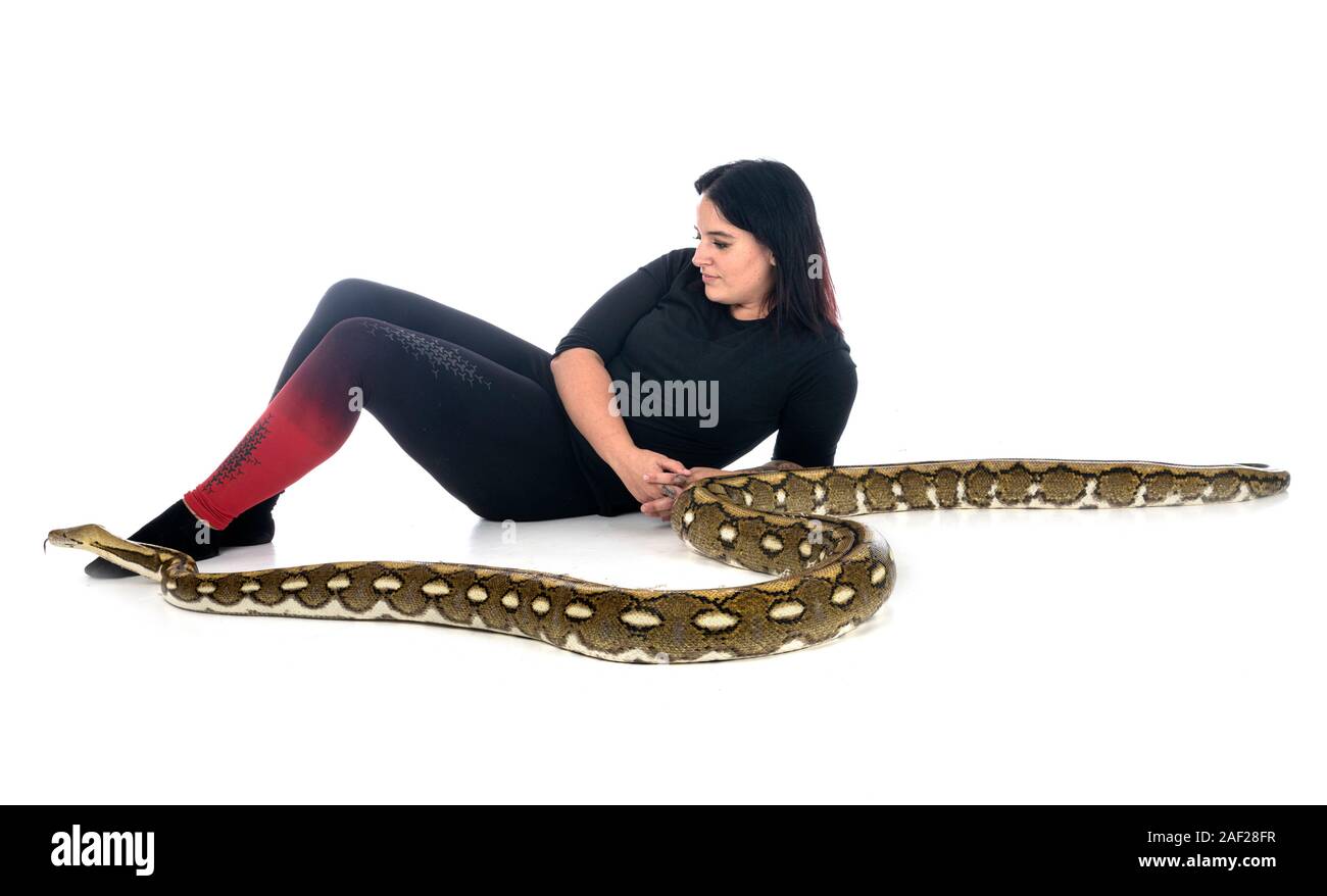 Netzpython vor weißem Hintergrund Stockfoto