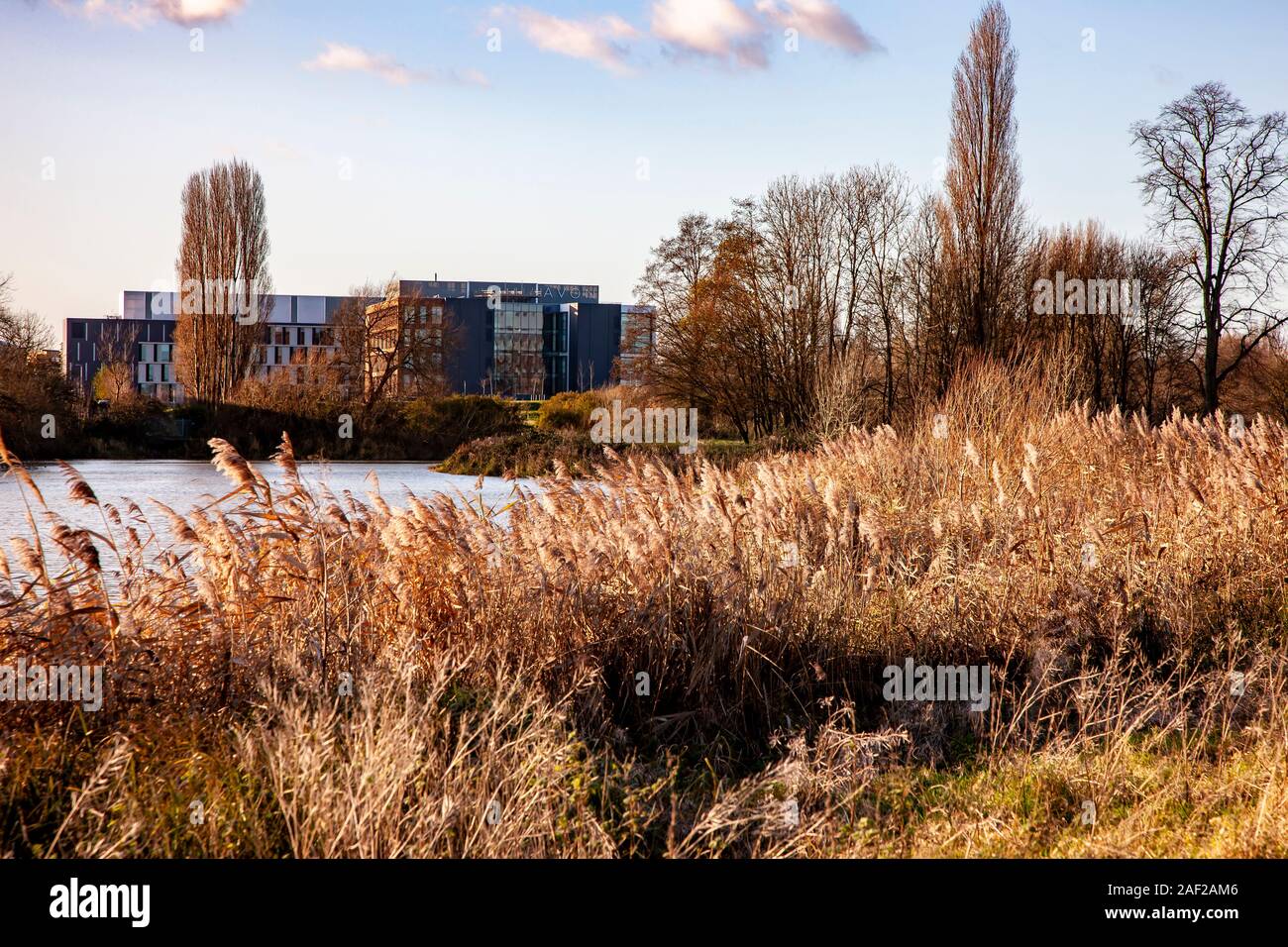 Die Universität von Northampton und die Avon Kosmetik Bürogebäude mit Blick über den Fluss Nene. England, UK. Stockfoto