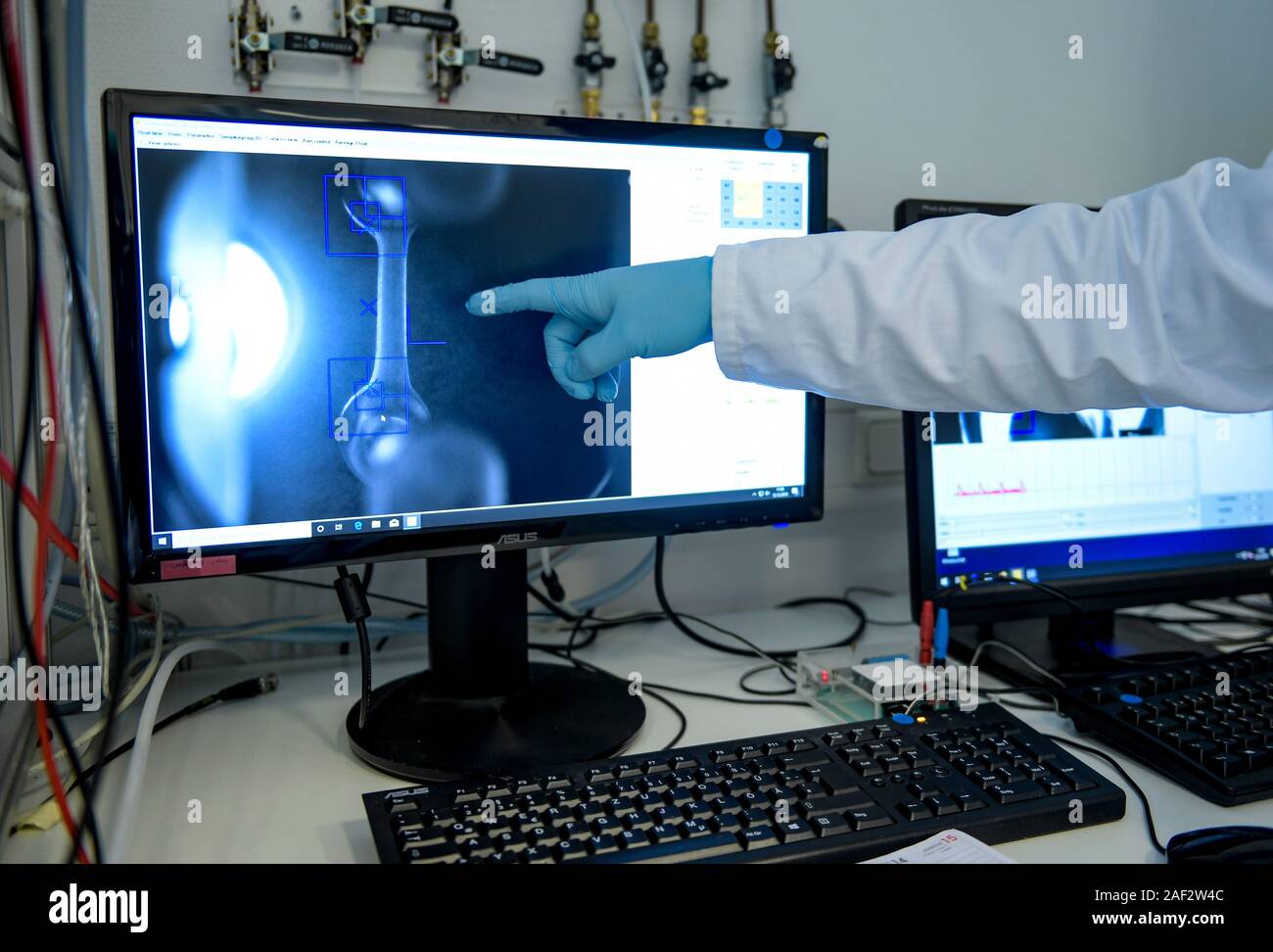 Hamburg, Deutschland. 12 Dez, 2019. Eine grundlegende wissenschaftliche Mitarbeiterin am Zentrum für Experimentelle Medizin des UKE (Universitätskrankenhaus Eppendorf) zeigt ein Bild von Engineered Heart Tissue (EHT) auf einem Computermonitor. Die reife künstlichen menschlichen Herzgewebe ist ca. 6 mm lang und Verträge wie natürlichen menschlichen Herzgewebe. Da es sich um ein menschliches Modell, Tierversuche vermieden werden. Quelle: Axel Heimken/dpa/Alamy leben Nachrichten Stockfoto