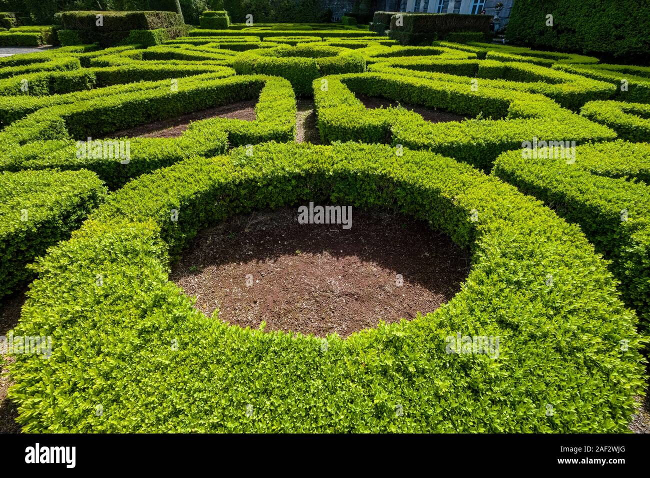 Geschnittenen Hecken im schönen Garten der Villa Lante Stockfoto