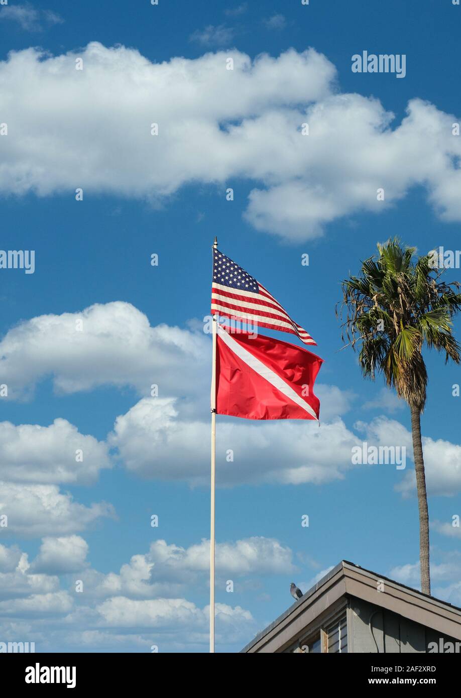 Amerikanische und Dive Flags Stockfoto