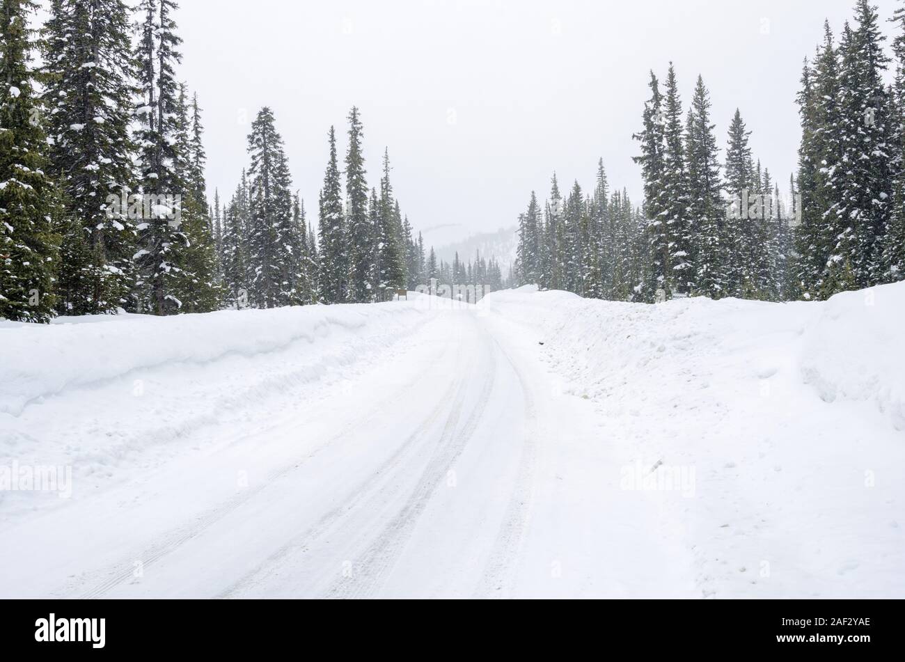 Mountain Road süß Schnee durch den Wald bei einem Blizzard bedeckt. Konzept der gefährlichen Fahrbedingungen. Stockfoto
