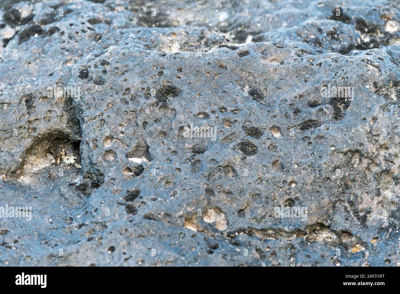 Nahaufnahme von Details auf vulkanischen schwarzen Lava Felsen an einem Strand in Mauritius, raue Textur und abstrakten organischen Hintergrund in der Natur Stockfoto