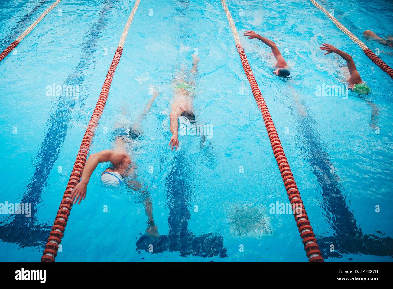 Professionelle wettbewerbsfähigen Schwimmer trainieren gemeinsam im Pool Stockfoto