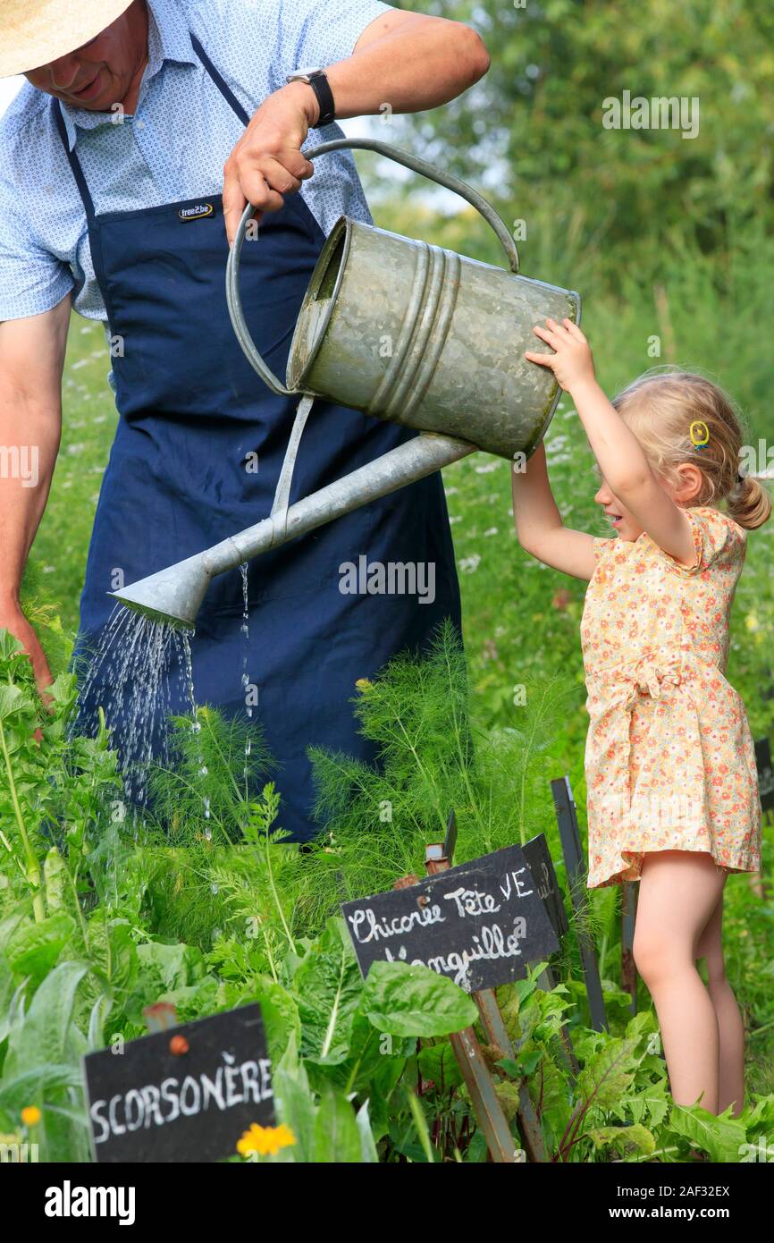 Im Garten arbeiten. Großvater und seine Enkelin Bewässerung eine Küche Garten mit der Gießkanne Stockfoto