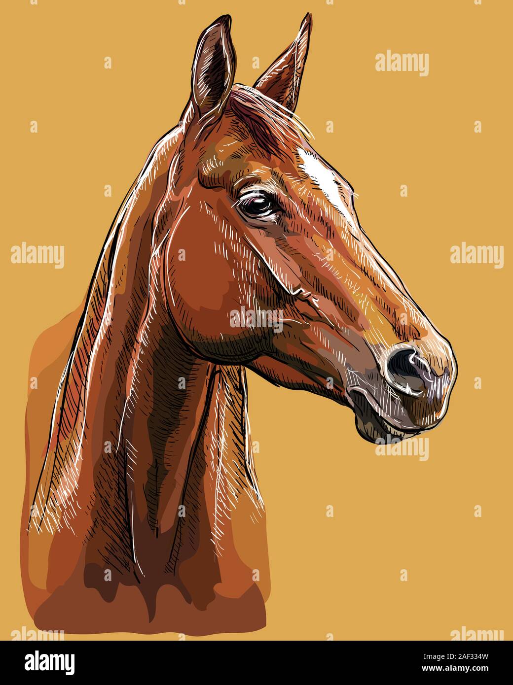 Bunte hand Zeichnung Pferd portrait. Pferdekopf im Profil auf beigen Hintergrund isoliert. Vektor hand Zeichnung Abbildung. Retro Style Portrait von Ba Stock Vektor