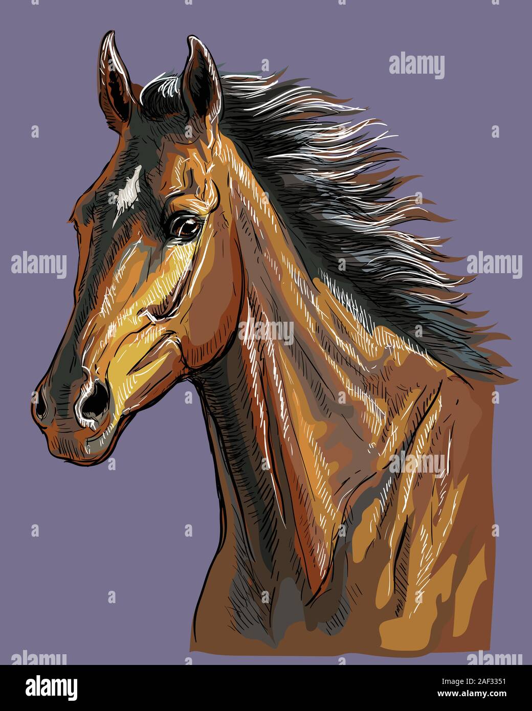 Bunte hand Zeichnung Pferd portrait. Bay Horse Kopf mit langer Mähne auf lila Hintergrund isoliert. Bunte Vektor hand Zeichnung Abbildung. Retro s Stock Vektor