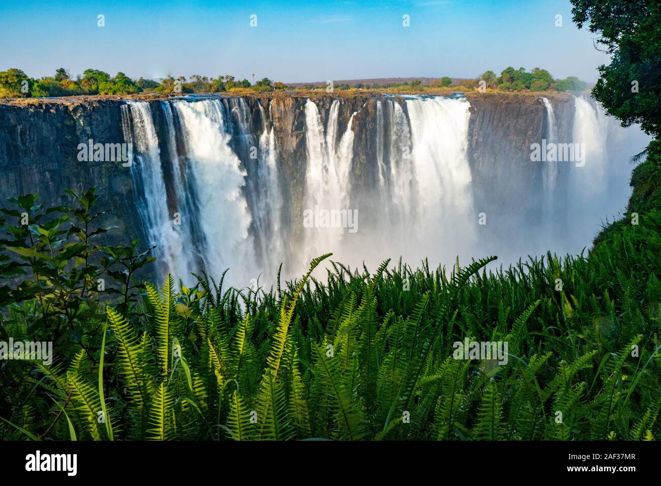 Victoria Falls, von David Livingstone im Jahr 1855 benannt nach Königin Victoria, der Wasserfall ist der Sambesi Fluss gebildet, in einen 100 Meter tiefen Ch Stockfoto