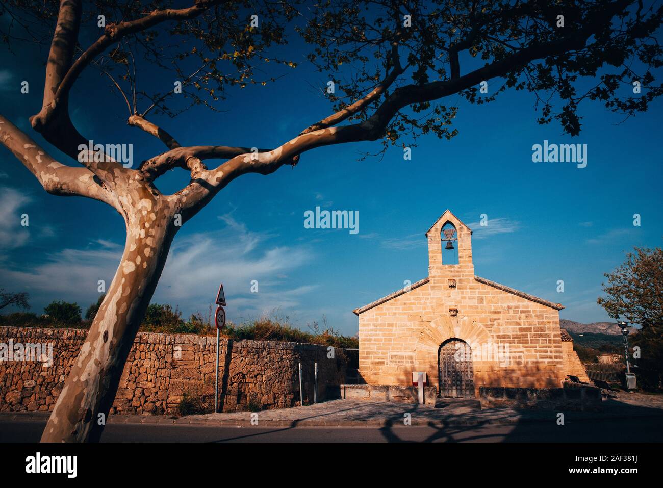 Mediterrane Kirche und Baum auf der Insel Mallorca. Sommer Urlaub Foto Stockfoto