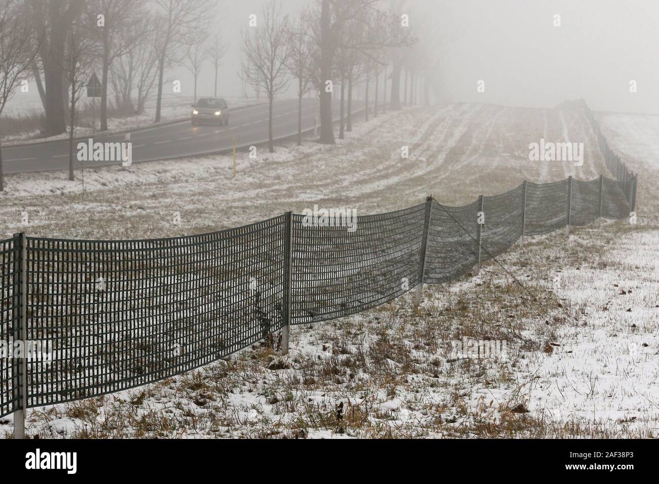 Elbingerode, Deutschland. 12 Dez, 2019. Eine dünne Schicht Schnee bedeckt die Oberharz wie hier bei Elbingerode. Die weiße Pracht wird auch über das Wochenende in den Höhenlagen des Harzes erhalten werden. Credit: Matthias Bein/dpa-Zentralbild/ZB/dpa/Alamy leben Nachrichten Stockfoto