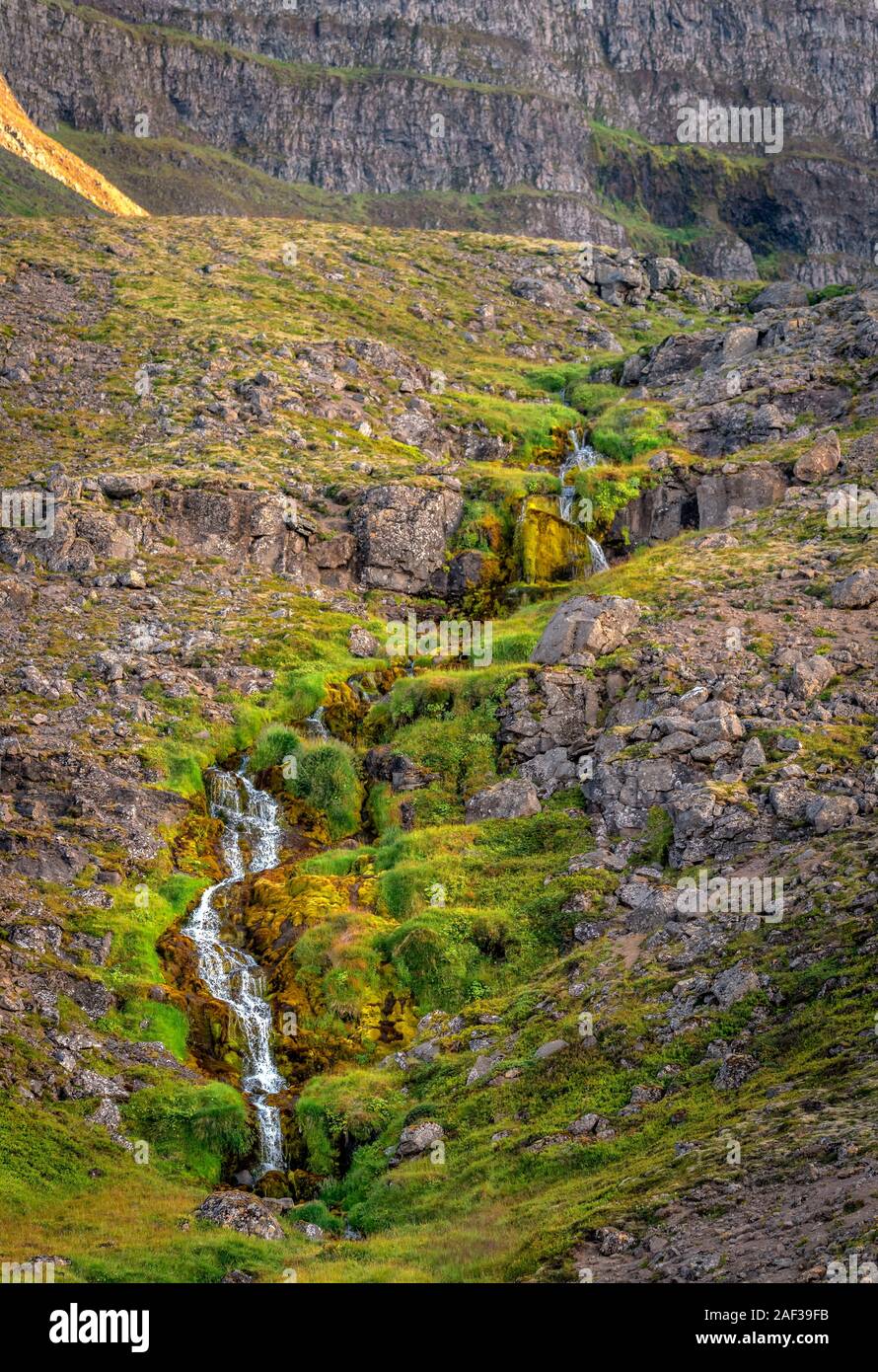 Wasserfall über Lava und Moos, Arnarfjordur, Westfjorde, Island Stockfoto