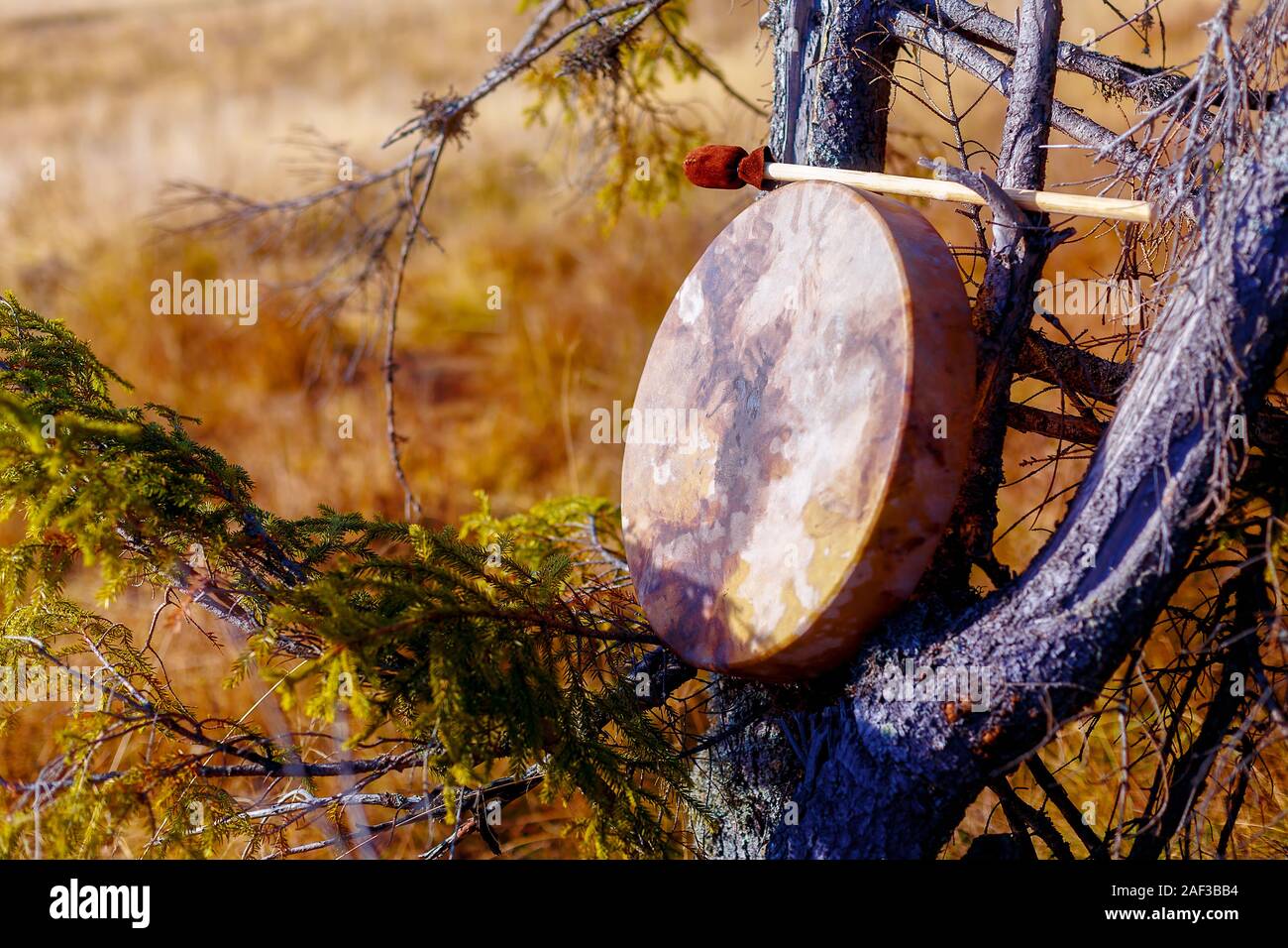 Schamanische Trommel in der Natur, schamanische Trommel von deer Bock  gemacht Stockfotografie - Alamy