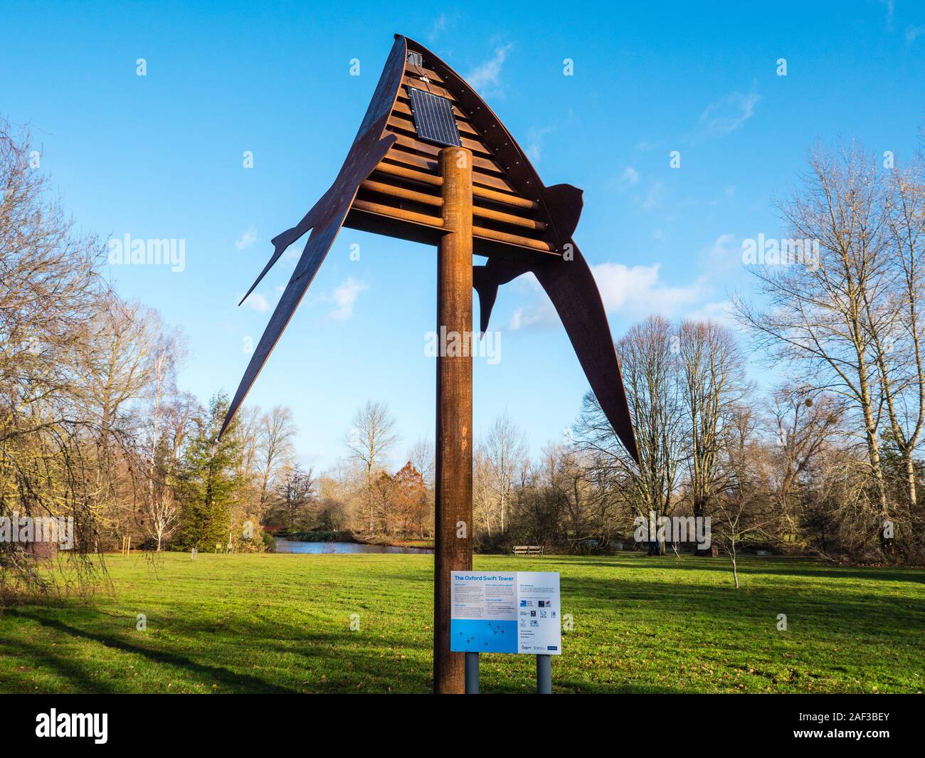 Swift Tower, Vogel, die Verschachtelung, Universität Parks, Oxford, Oxfordshire, England, UK, GB. Stockfoto