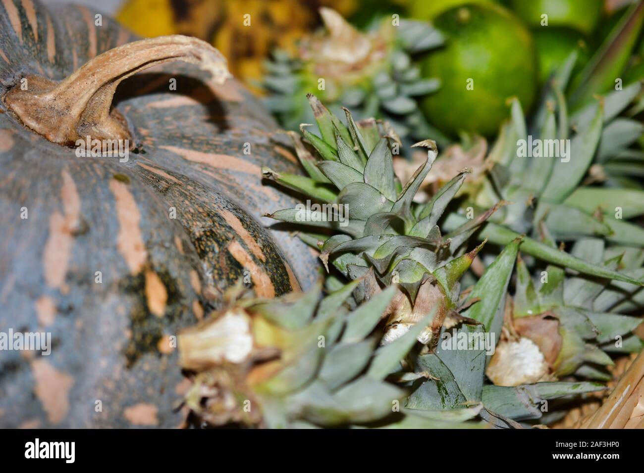 Kürbis und Ananas Reste bereit für die komposttonne Stockfoto