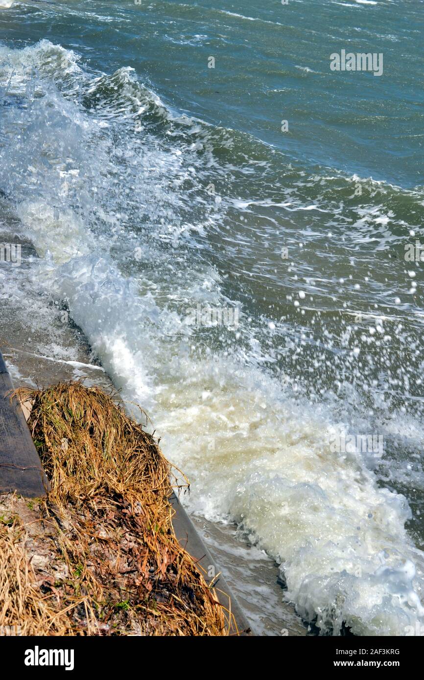 King Tide kombiniert mit starken Böen Teig der Küste. Januar 2019 Bongaree, Queensland, Australien Stockfoto