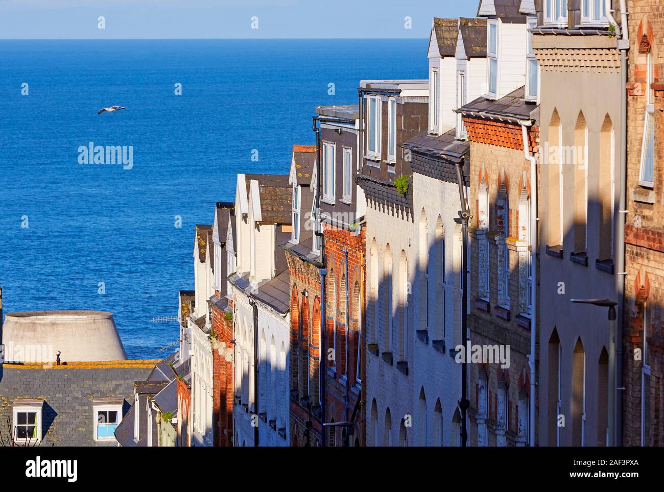 Erhöhte Blick hinunter auf Reihenhäuser in Ilfracombe, Devon, UK suchen Stockfoto