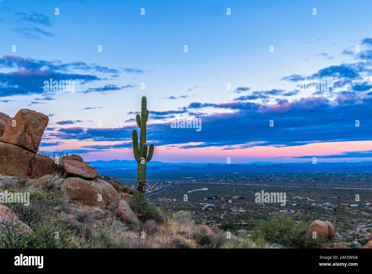 Einsame Saguaro Kaktus mit farbenfrohen Sonnenaufgang mit Blick auf das Tal der Sonne in Phoenix, AZ erhöht. Stockfoto