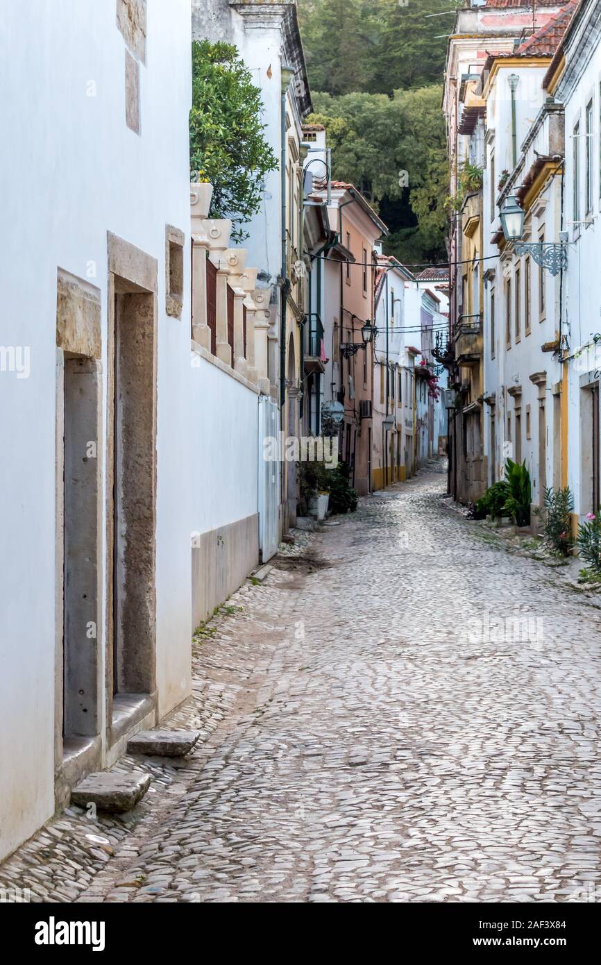 Traditionelle Kopfstein gepflasterte Gasse Straße windet sich durch Altstadt zwischen whatewashed Wand Gebäude in Tomar Portugal Stockfoto