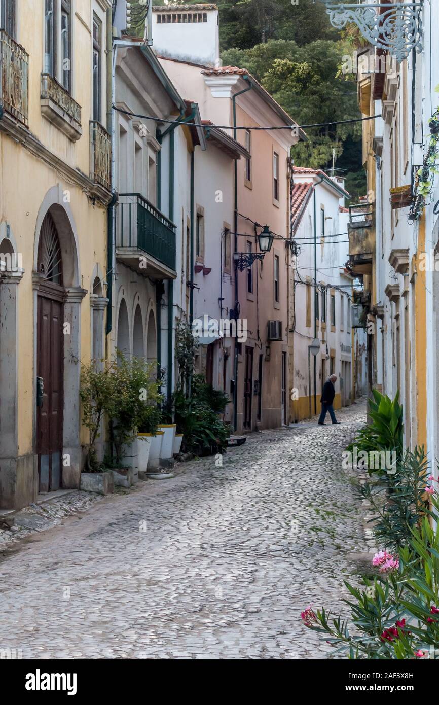 Traditionelle Kopfstein gepflasterte Gasse Straße windet sich durch Altstadt zwischen whatewashed Wand Gebäude in Tomar Portugal Stockfoto