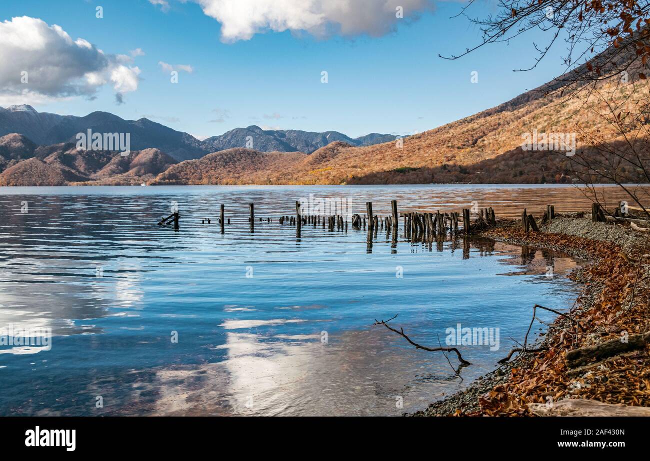 Chuzenji See (Nikko, Japan) mit einer alten hölzernen Pier und bunte Laub an einem sonnigen Tag Ende Oktober. Stockfoto