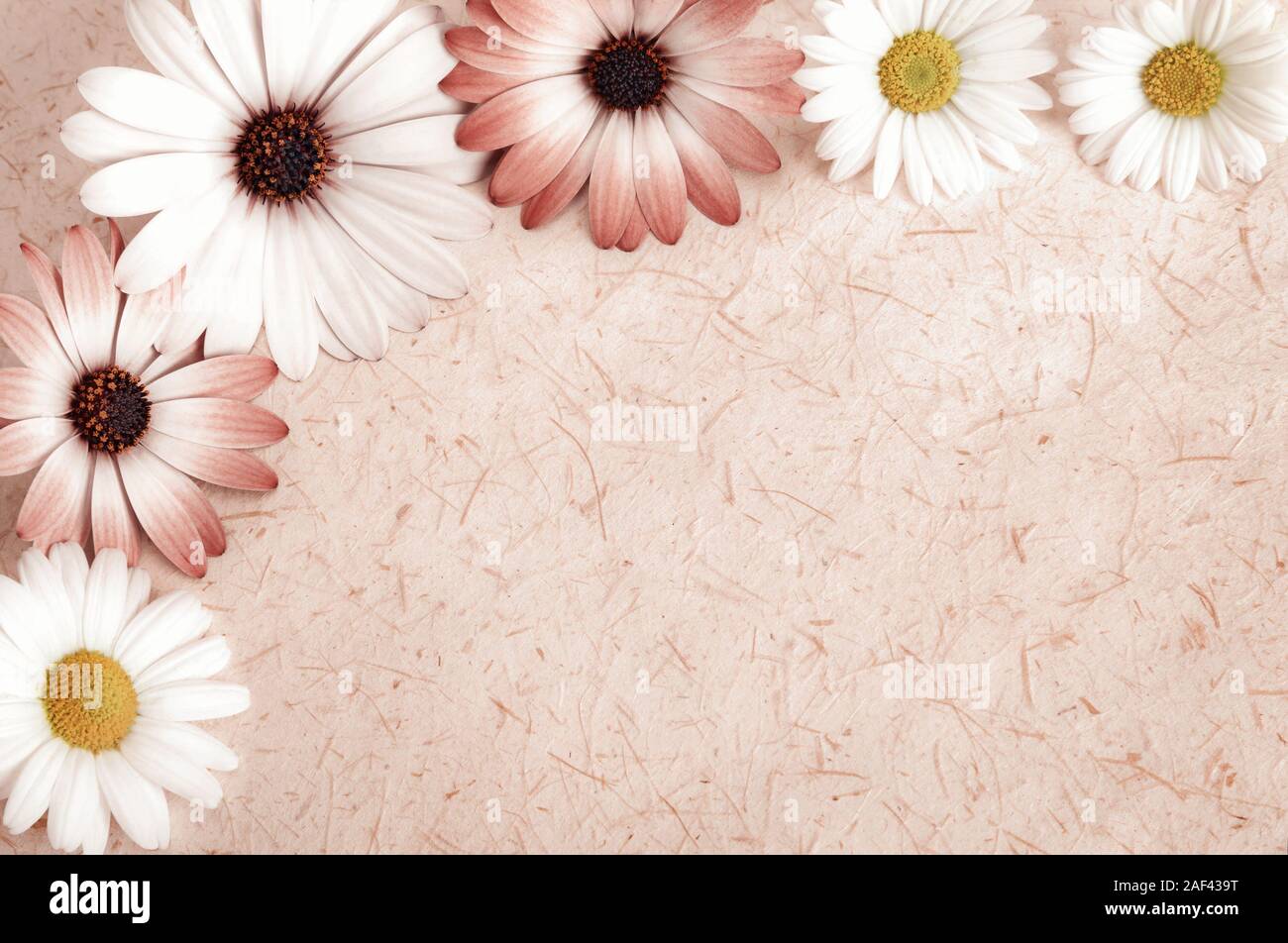 Hintergrund der rustikalen natürliche Papier oder Pergament mit einem Rahmen von Blumen und Blüten, geschnitten, Vintage Style mit getönten glatte Farben Stockfoto