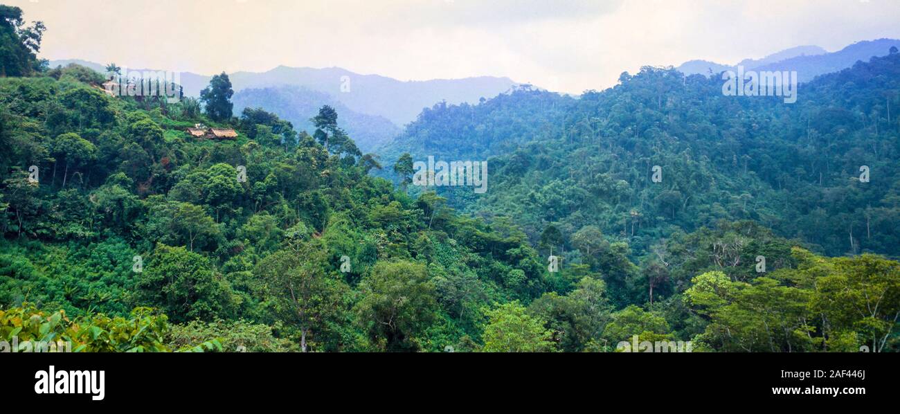 Orang Asli Settlement, Pahang, Malaysia Stockfoto