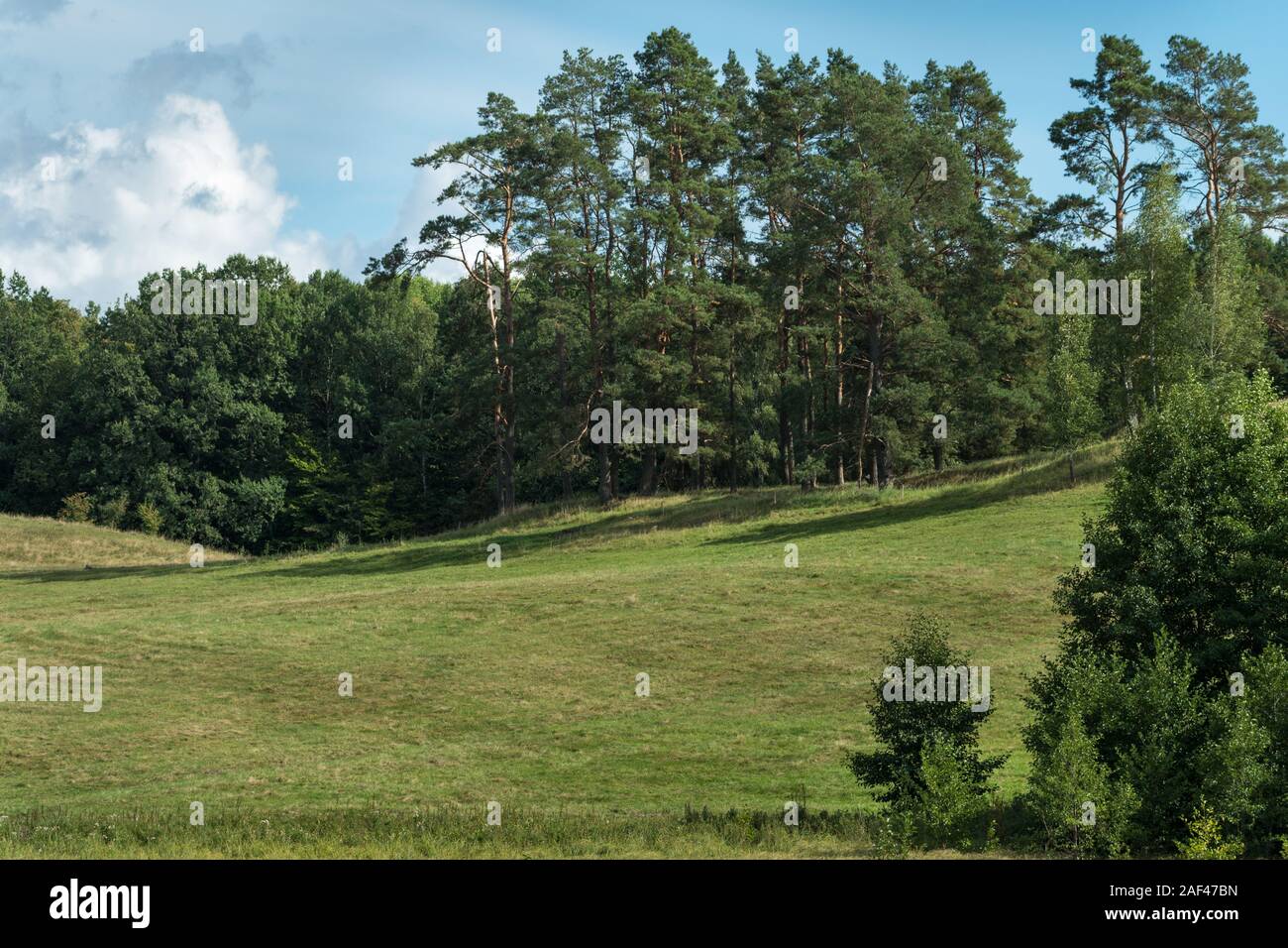Landschaft mit glazialen Landschaftsformen von Kame mit Wald bedeckt Stockfoto
